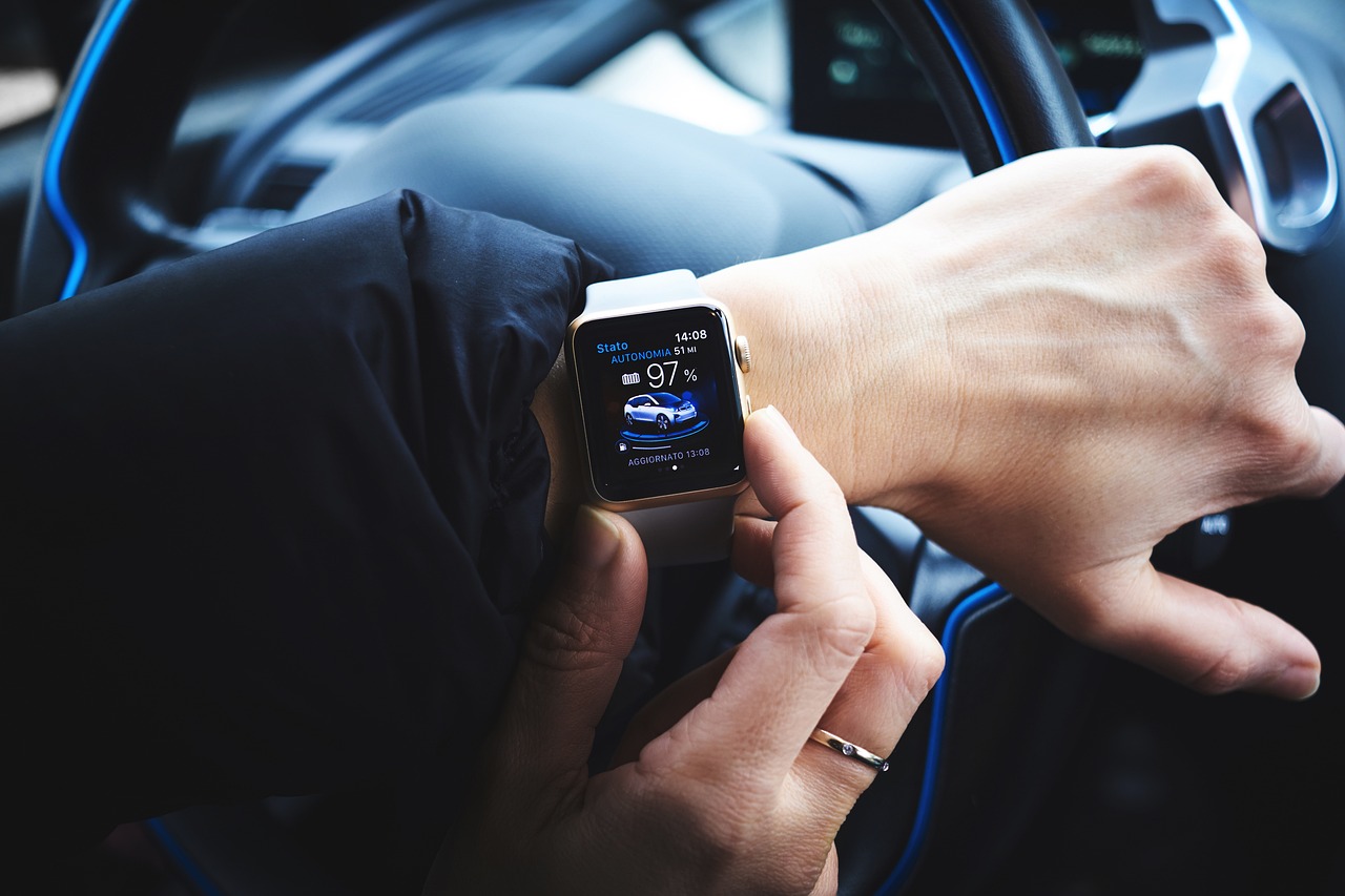 状分析解释定义：2024新澳门正版免费资料车：_watchOS51.48.99