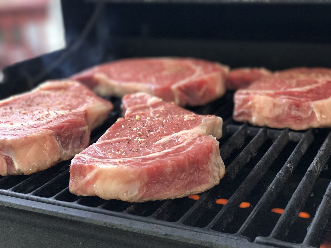 吉林肉毛鸡最新价格信息